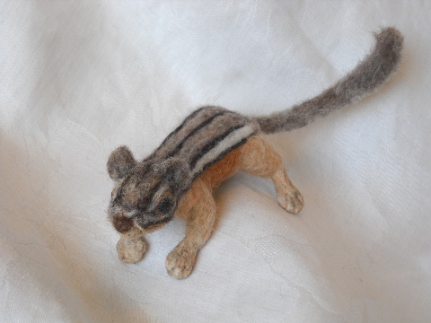 Chipmunk Feet