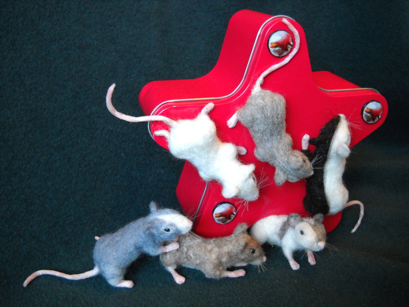 Mouse Litter 12: Mixed-Up Mice