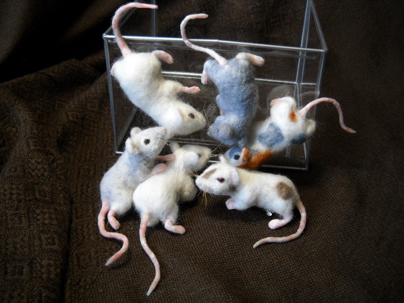Mouse Litter 14 – The Long Drawn-Out Mice