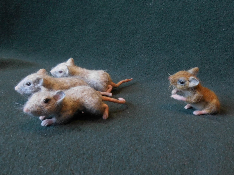 Mouse Litter 18 – Mice at War