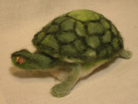 Turtle