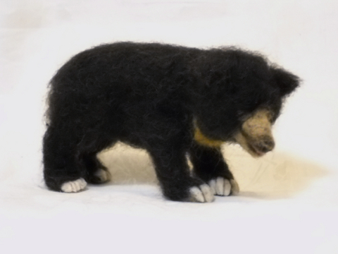 Sloth Bear