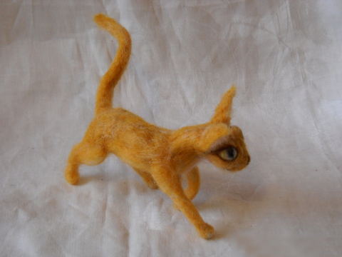 Abyssinian Cat