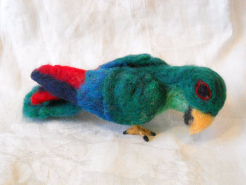 Parrot