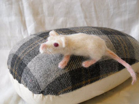 Rat Pet