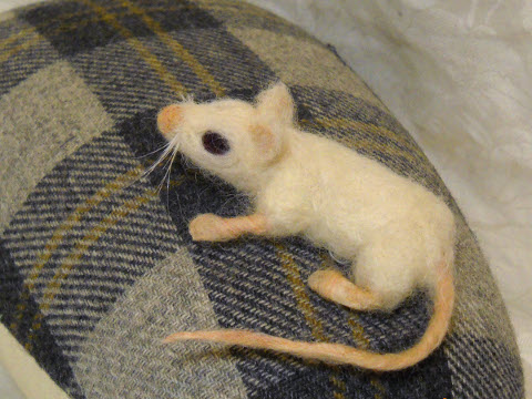 Miss Mouse