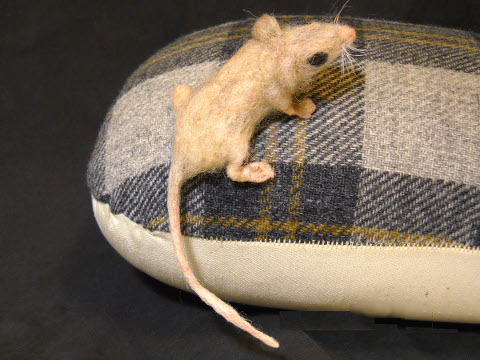 Mousie Boy