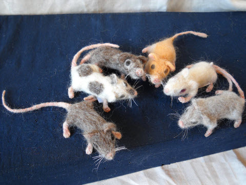 Mouse Litter 1