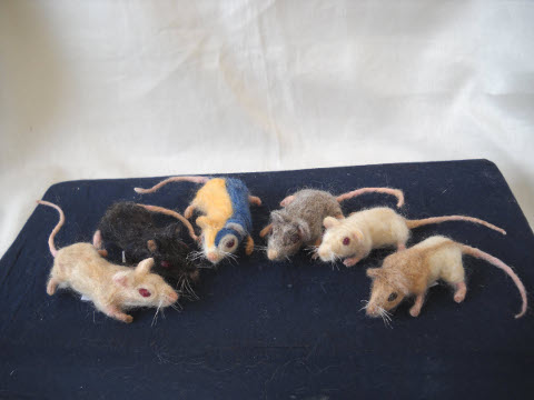 Mouse Litter 2