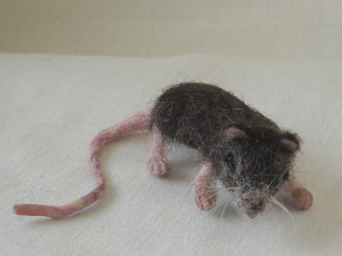 Mouse Pet 17
