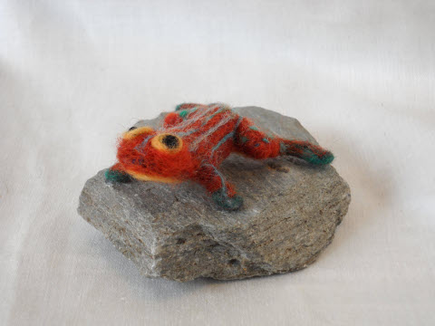 Red Frog Pet