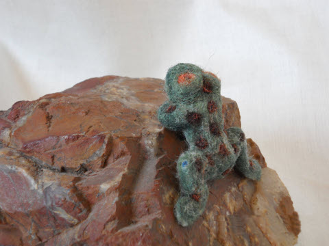 Stiff Frog