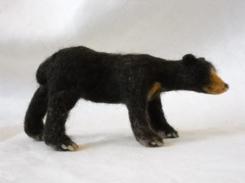 Sun Bear