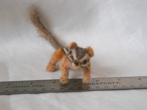 Chipmunk