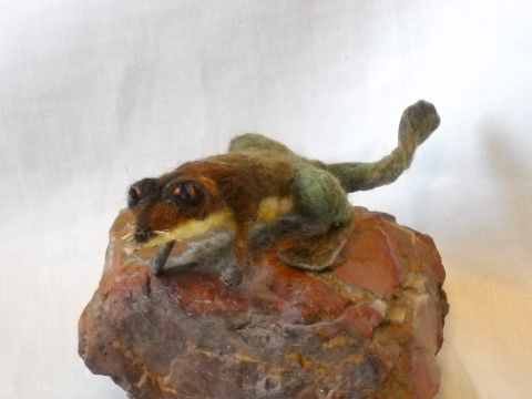 Furry Tadpole
