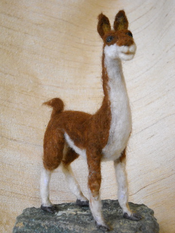 Guanaco