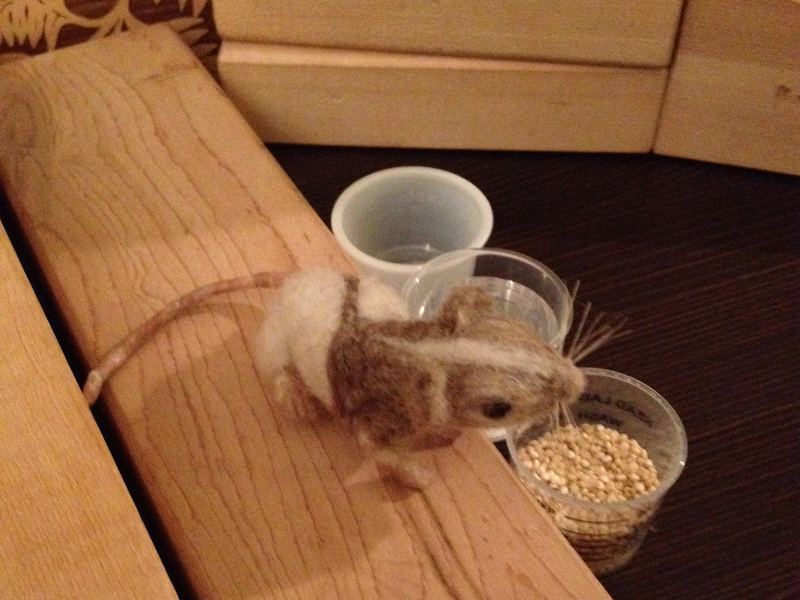 Cousin Watermouse in His New Home