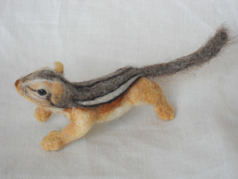 Chipmunk 4