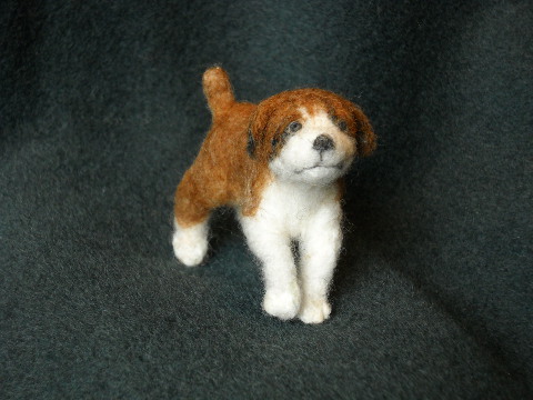 Boxer Puppy