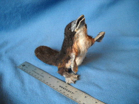 Water-mole Under Water