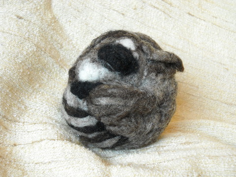 Raccoon Ball 
