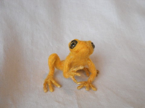 Goldie Frog