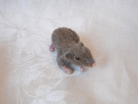 Short-Tailed Shrew
