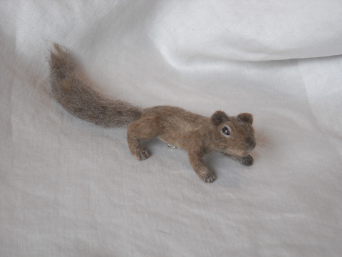 California Ground Squirrel