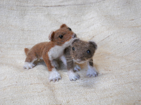 Least Weasels