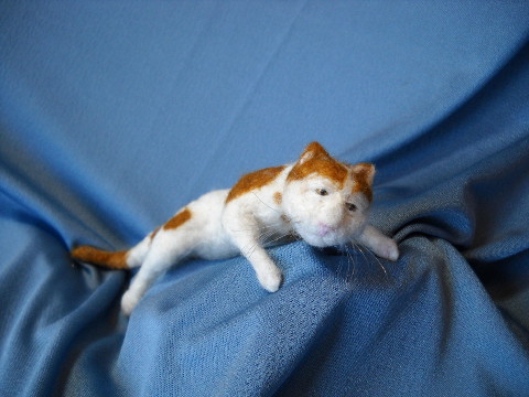 Anouk’s Cat