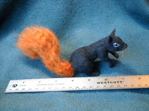 Red-Tailed Black Squirrel