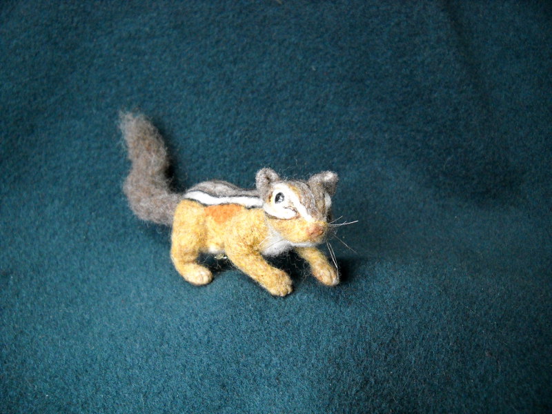 Chipmunk 10