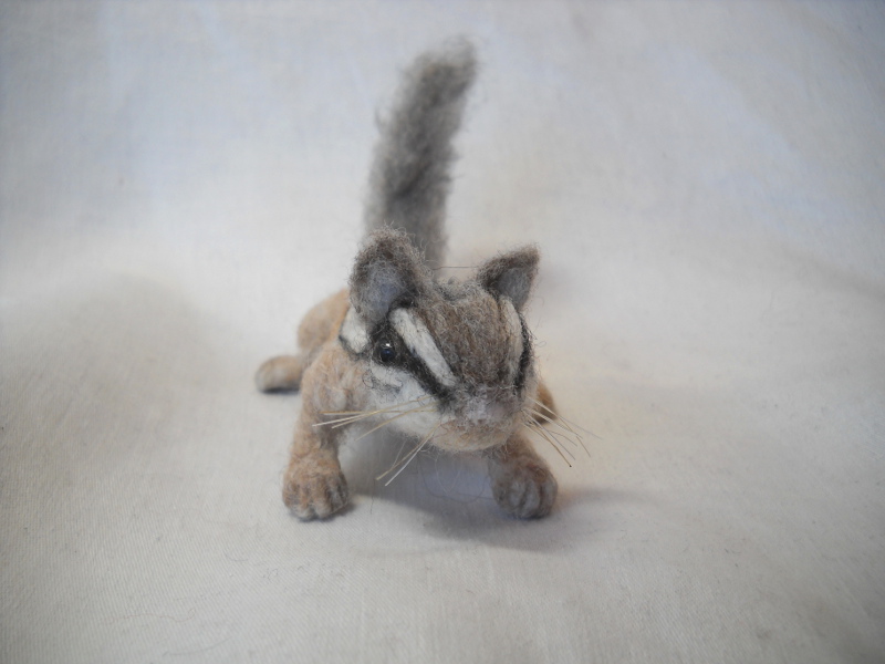 Chipmunk 11 – Magnet
