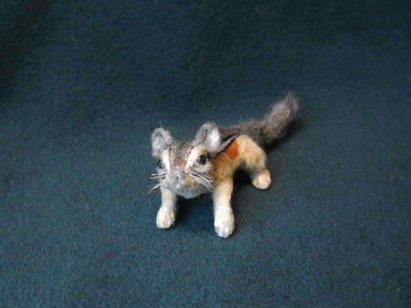 Chipmunk 12