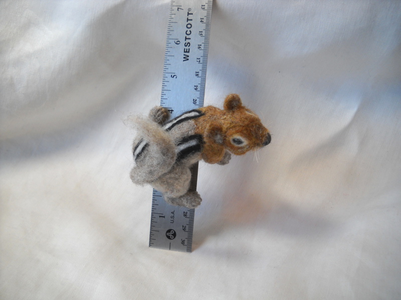 Golden Mantled Ground Squirrel