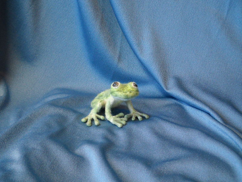 Green Tree Frog