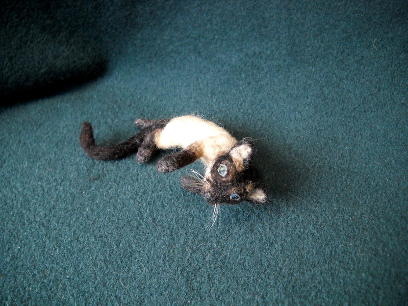 Whiskers S. Cat