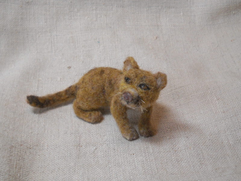 Cougar Cub