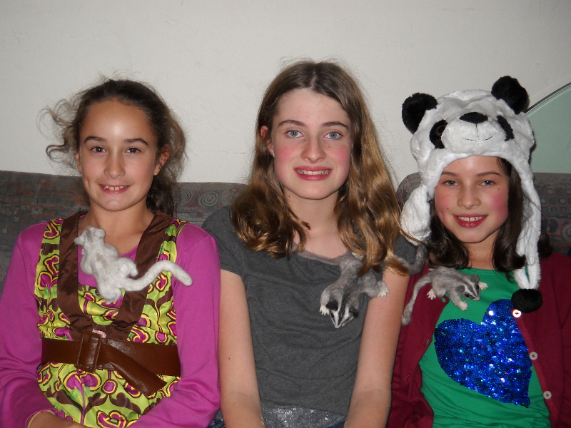 Sugar Gliders and Friends