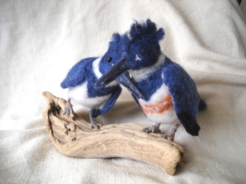 Kingfishers