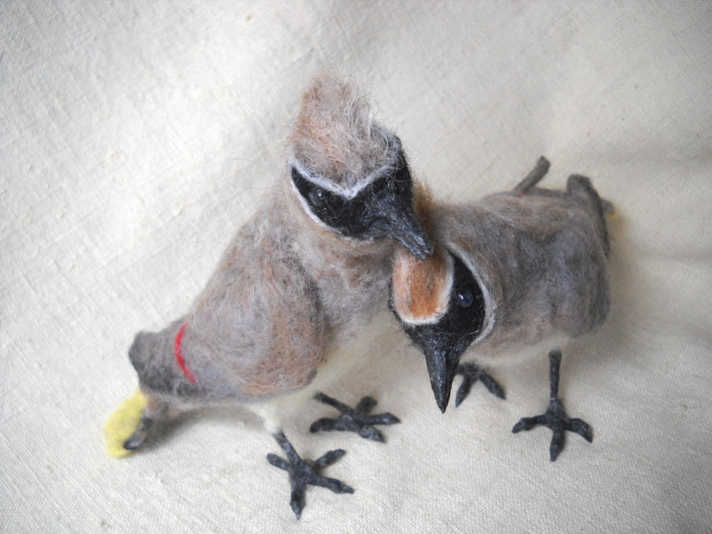 Cedar Waxwings