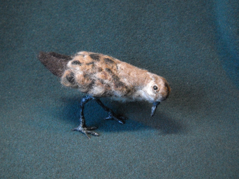 Sandpiper Reborn