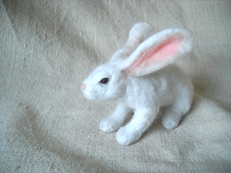 Mr. Bunny