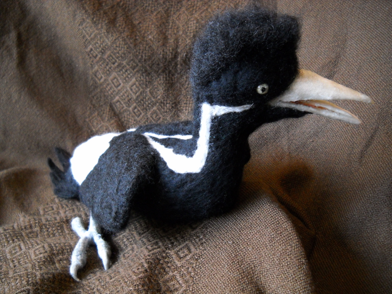 Ivory-billed Woodpecker Baby: “Butch”