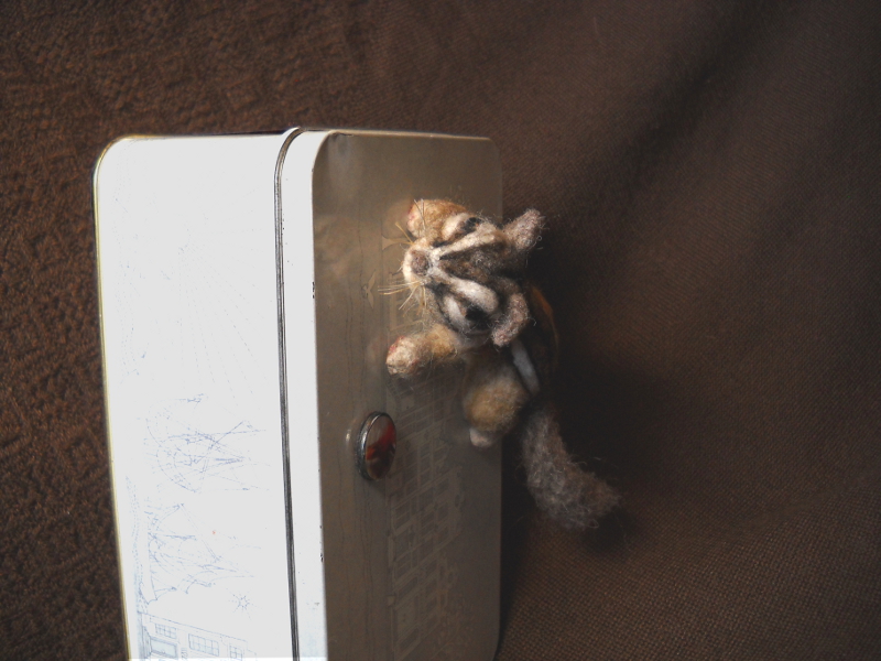 Chipmunk 14