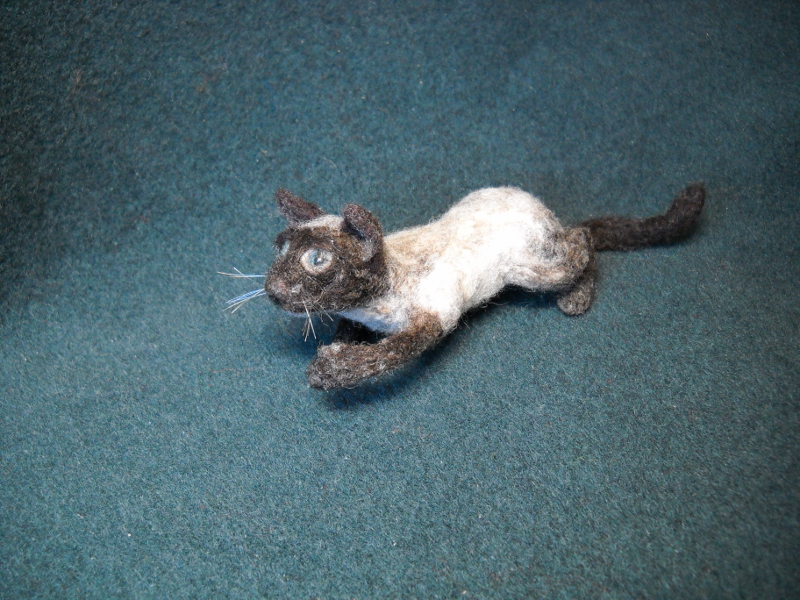 Sebastian S. Cat