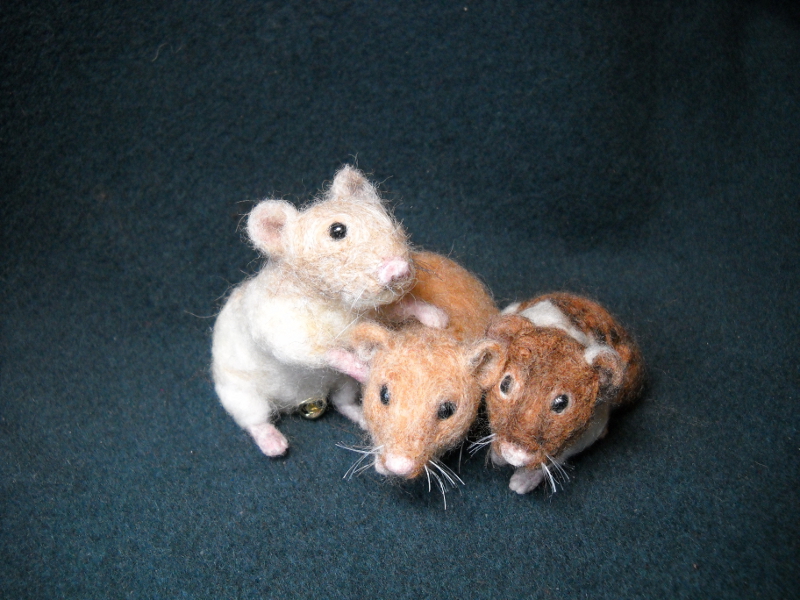Hamster Guys