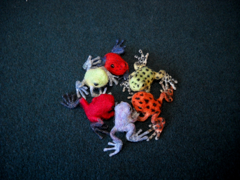 Strawberry Poison Dart Frogs