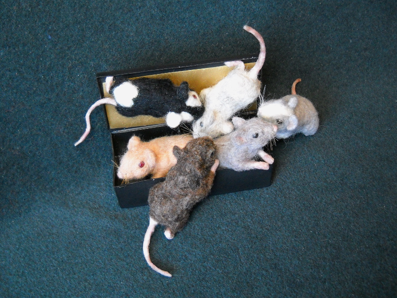 Mouse Litter 15 – The Tiny Feets Brigade
