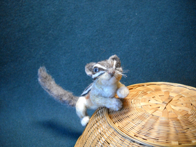 Chipmunk 15